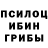 Галлюциногенные грибы Psilocybe FatherDlo
