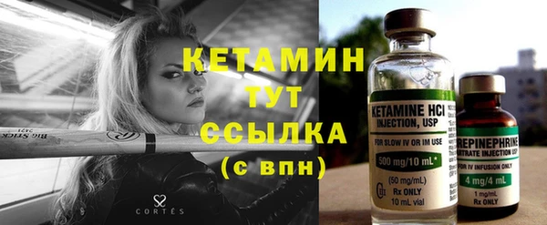 сатива Беломорск