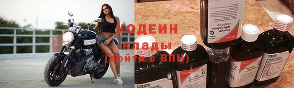 сатива Беломорск