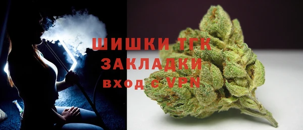 сатива Беломорск