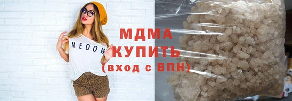 сатива Беломорск