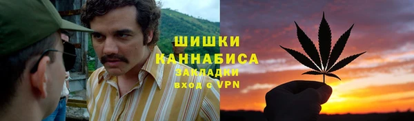 сатива Беломорск
