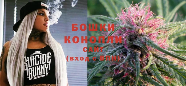 ПСИЛОЦИБИНОВЫЕ ГРИБЫ Белокуриха