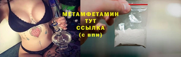 сатива Беломорск