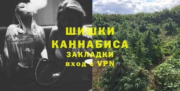 сатива Беломорск