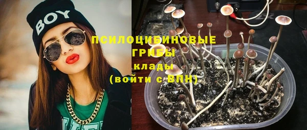 ПСИЛОЦИБИНОВЫЕ ГРИБЫ Белокуриха