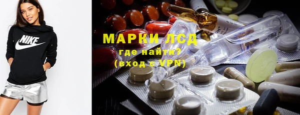 сатива Беломорск