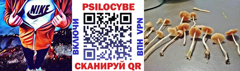 даркнет сайт  Гай  Псилоцибиновые грибы Psilocybe 