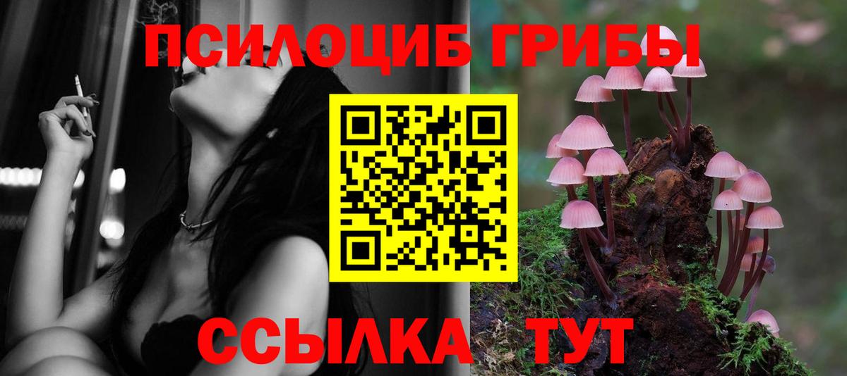 хочу наркоту  Вход с VPN  Гай  Галлюциногенные грибы мухоморы  Галлюциногенные грибы Magic Shrooms 