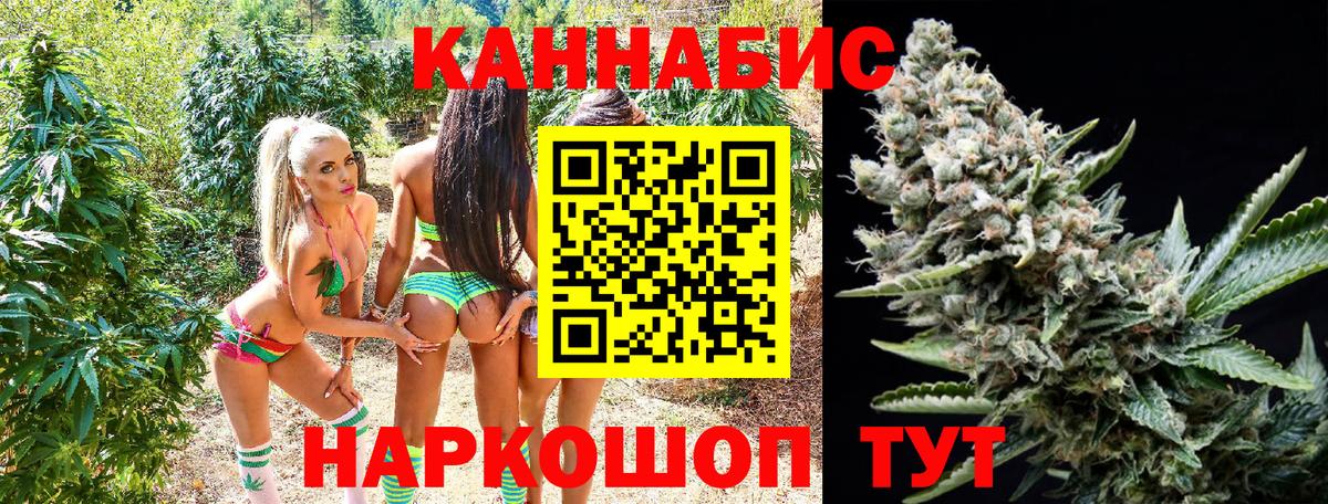МАРИХУАНА конопля  Марихуана White Widow  Гай  Бошки Шишки Bruce Banner  Канабис индика 